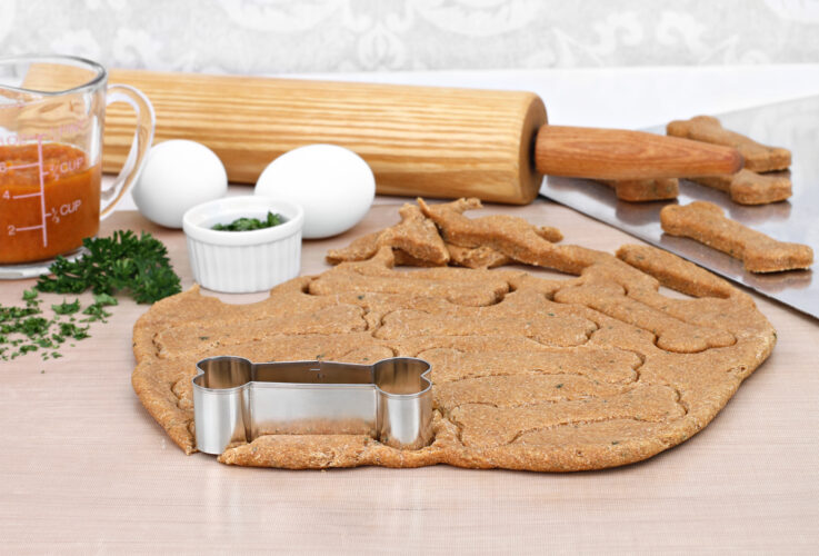 Using Natural Herbs for Dogs